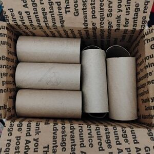 Craft Lot of 42 Empty Cardboard Toilet Paper Tubes